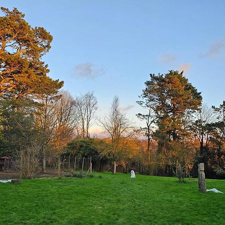 Keryerna Ar C'Haouled "Aux Hortensias" Clevacance Saint-Méen Dış mekan fotoğraf